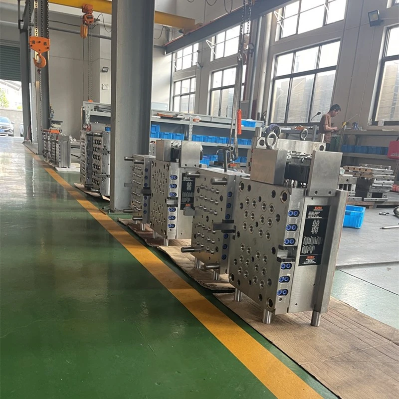 product-800-800 product-800-800